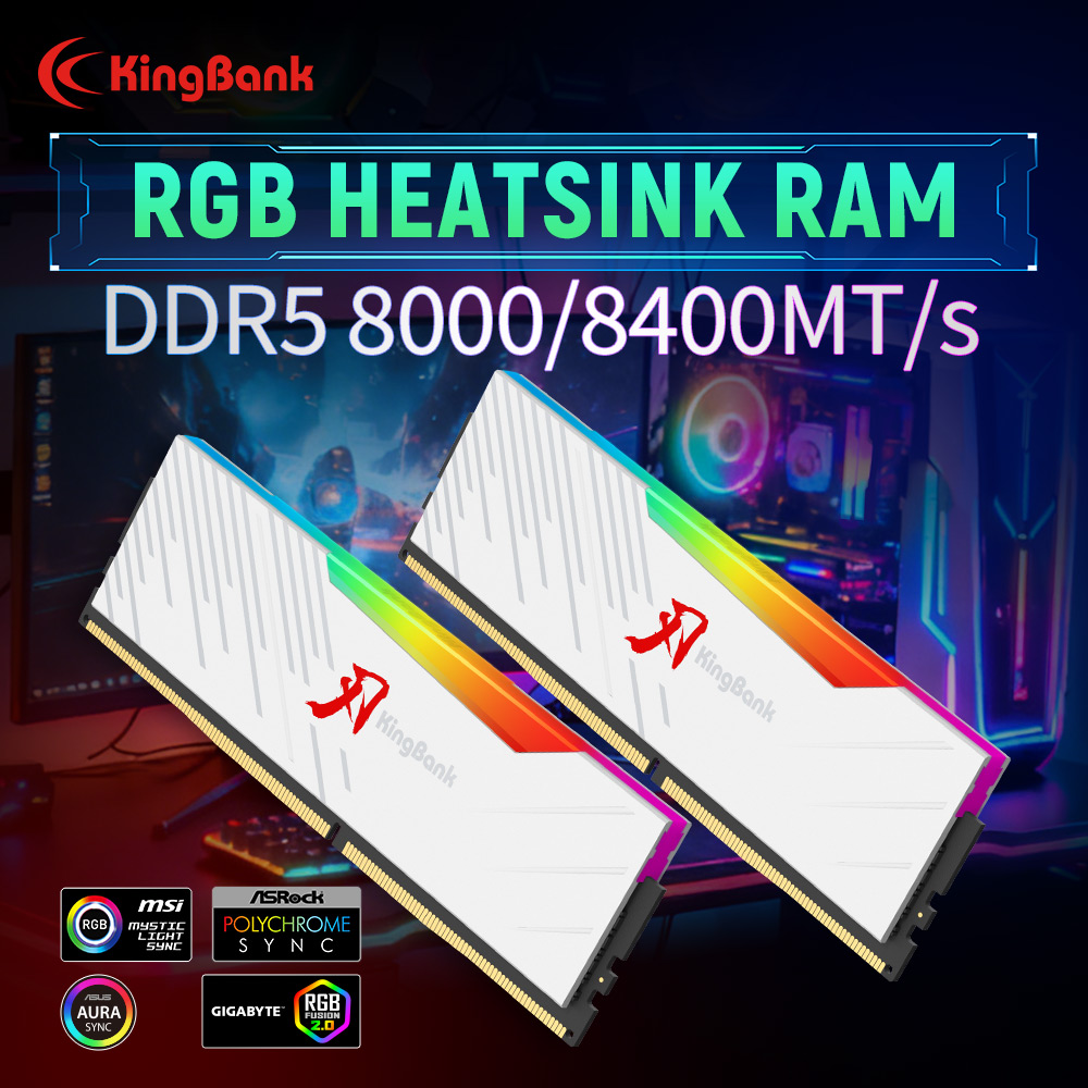 KINGBANK KRRW DDR5 RAM 48GB (2 - Ddr5 6000Mhz review and price
